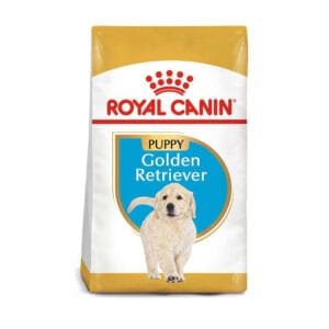RoyalCanin Golden puppy