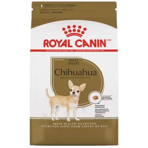 RoyalChihuahuaAd