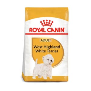 WestHighlandwhite